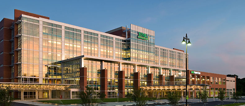 Holston Medical Group