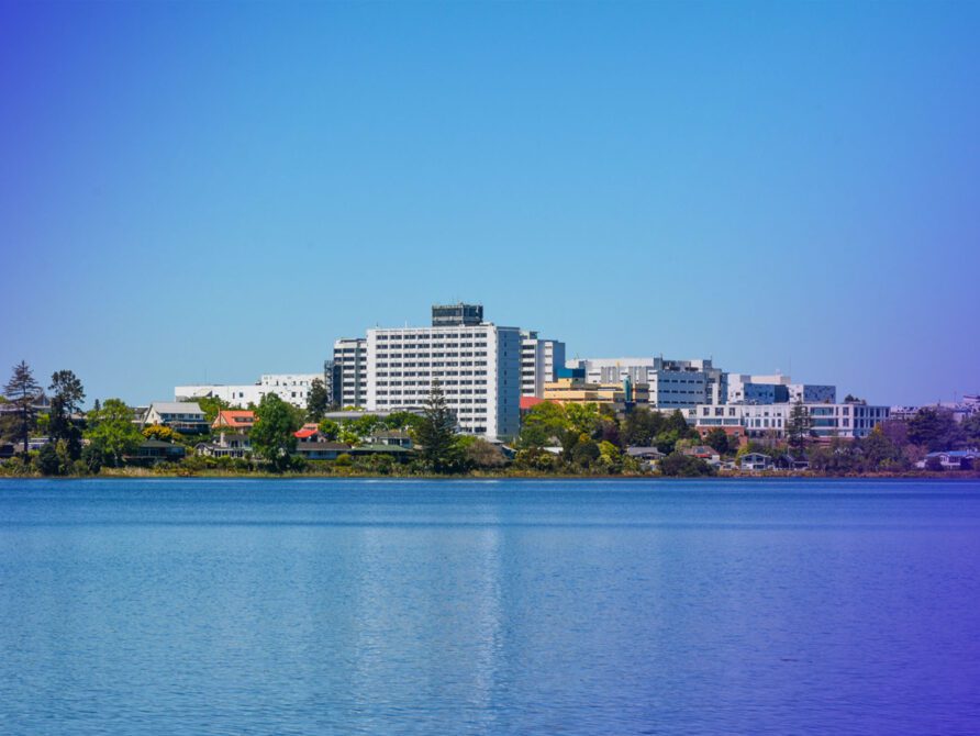 Te Whatu Ora – Health New Zealand Waikato